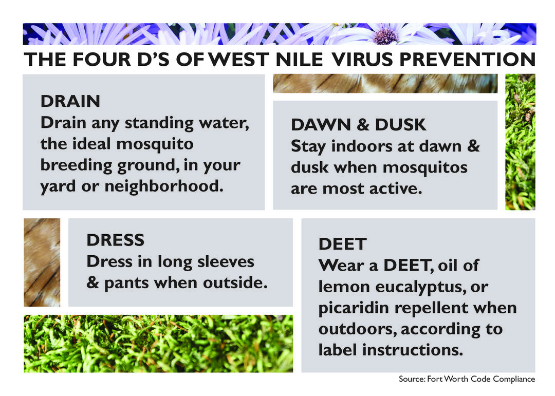 Our West Nile Virus Prevention Policy Audubon Texas