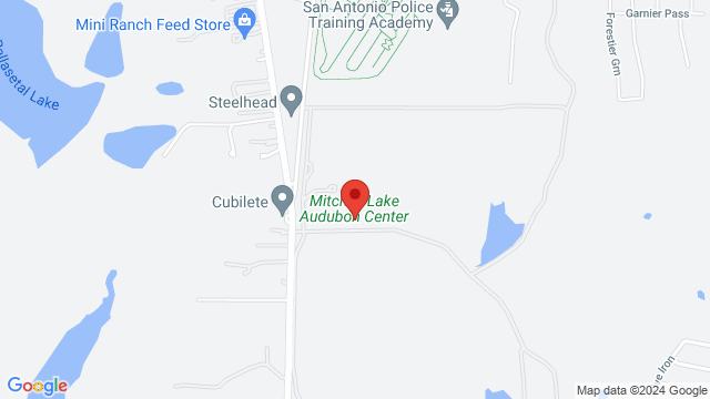 Spring Break Activity Week Saturday Audubon Texas