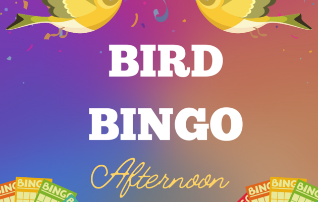 Bird Bingo