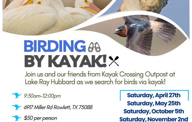 Birding By Kayak