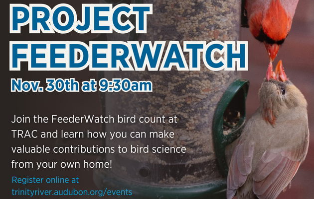 Project FeederWatch!