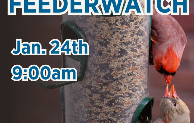 Project FeederWatch!