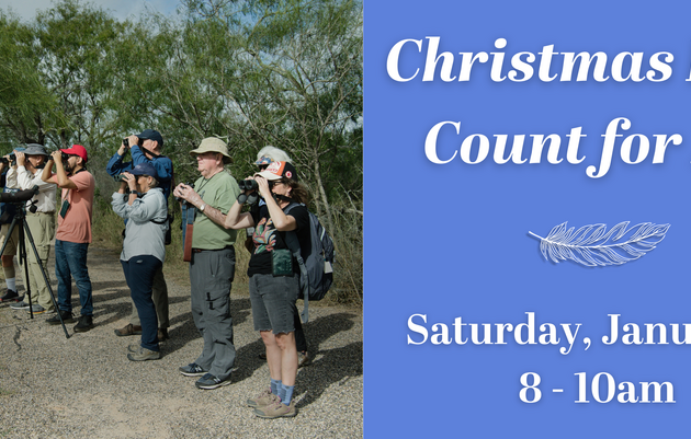 Christmas Bird Count For All!