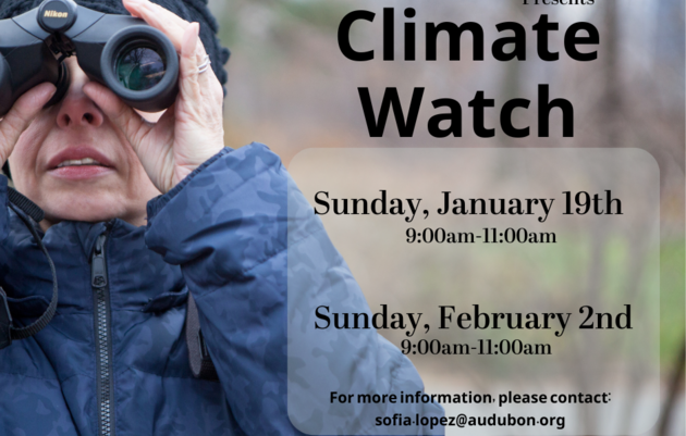 Climate Watch