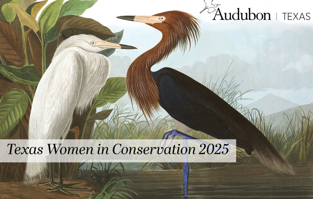 10th Anniversary of Texas Women in Conservation Celebration