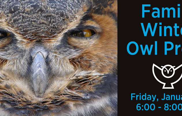 Family Winter Owl Prowl - Full, Join Waitlist!