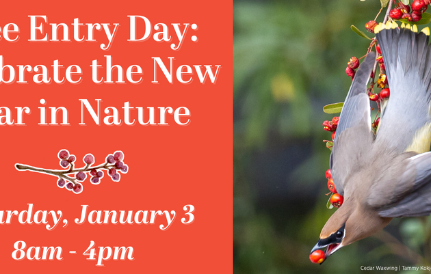Free Entry Day: Celebrate the New Year in Nature!