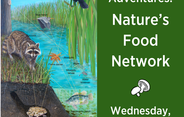 Homeschool Adventures: Nature’s Food Network - What's for Dinner in the Wild?