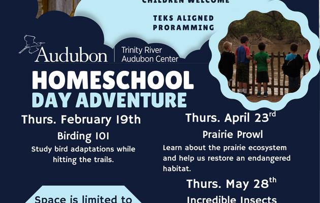 Homeschool Day - Birding 101