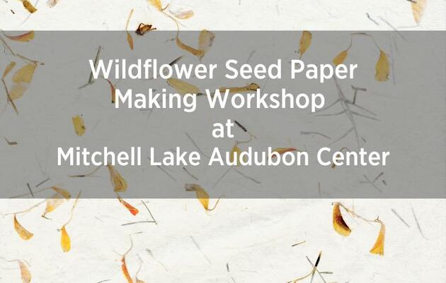 Wildflower Seed Paper Making Workshop  