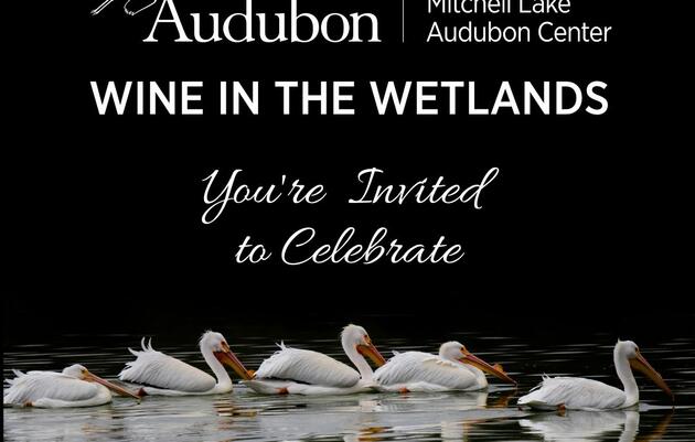 Wine in the Wetlands 2024