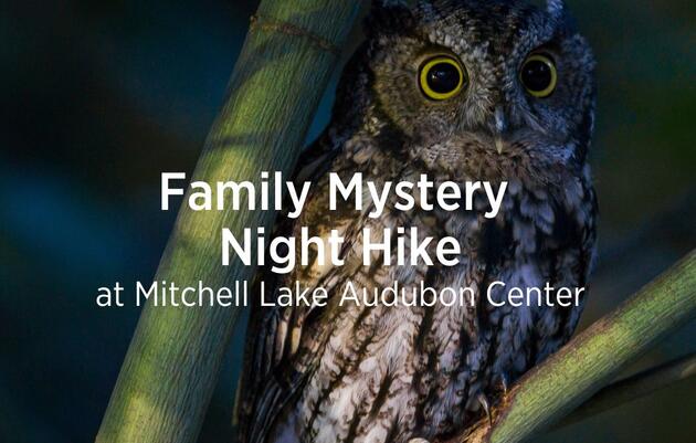 Family Mystery Night Hike