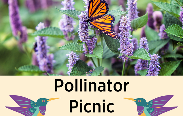 Pollinator Picnic