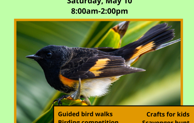 Guided Bird Walk - World Migratory Bird Day