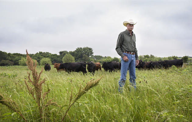 Partner Spotlight: Burgundy Pasture Beef and ROAM Ranch