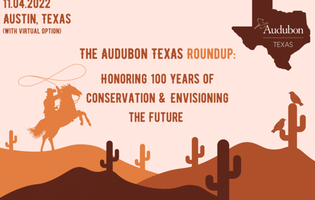 Audubon Texas Roundup - November 4, 2022