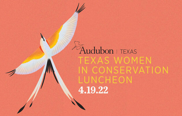 Audubon Texas Names 2022 Terry Hershey Award Honorees