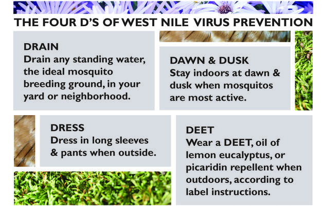 Our West Nile Virus Prevention Policy