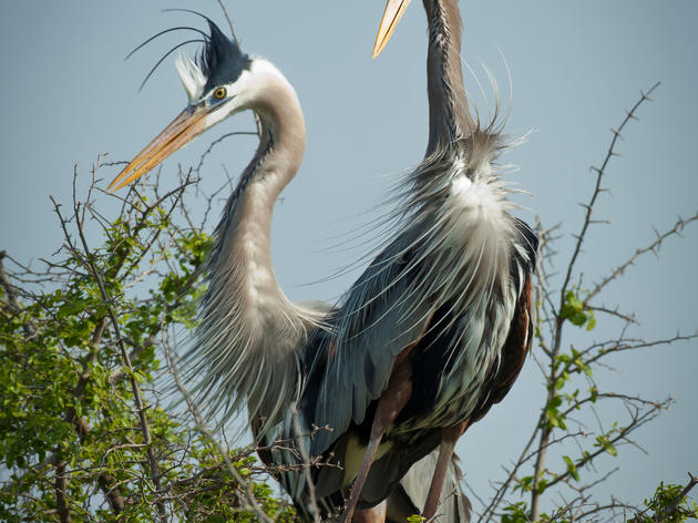 Galveston Oil Spill Response