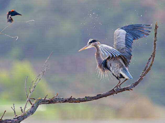 A Reflection on the Transformational Power of Nature, Conservation, and Asking Questions 