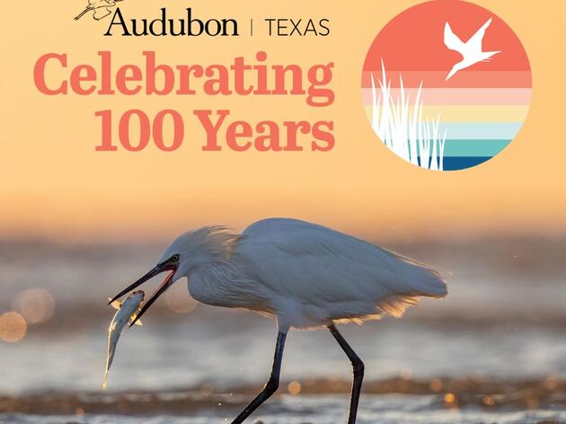 Calling All Bird Lovers, Photographers, and Historians:  Add Your Memorabilia Today!
