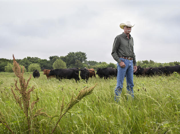 Partner Spotlight: Burgundy Pasture Beef and ROAM Ranch