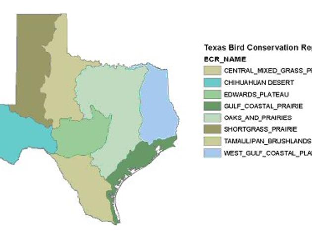 Texas IBA Sites