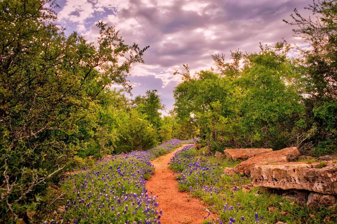 Dripping Springs, Texas | Audubon Texas