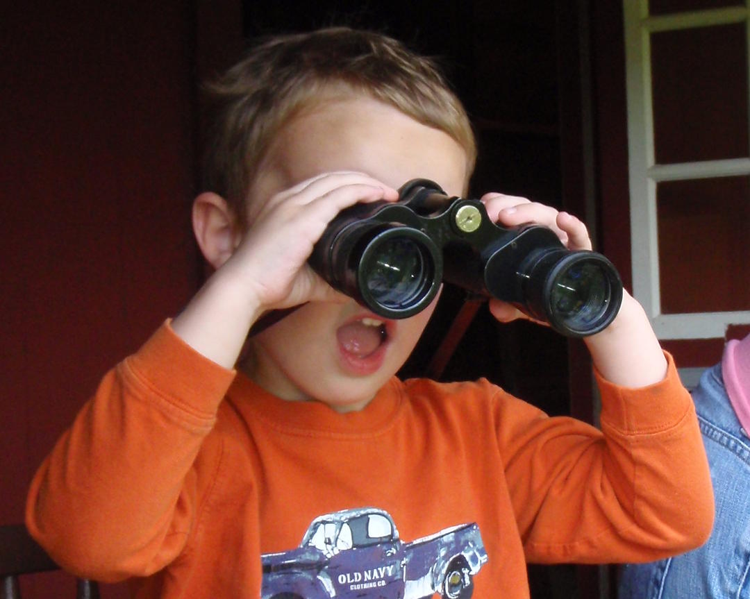 choosing-and-using-binoculars-audubon-texas